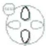 PHILIPS 21PT1354 - Instilling: - 2