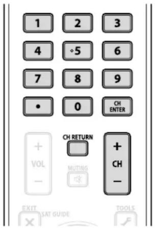 1 2 3 4 5 6 7 8 9 • 0 CH ENTER + VOL - CH RETURN MUTING + CH - EXIT SAT GUIDE TOOLS