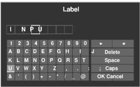 Label I N P U 1 2 3 4 5 6 7 8 9 0 A B C D E F G H I J Delete K L M N O P Q R S T Space U V W X Y Z , . : ; Caps & ' ( ) + - * / _ @ OK Cancel