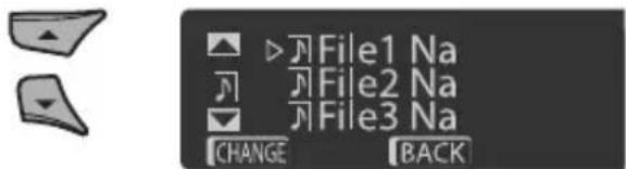 File1 Na File2 Na File3 Na CHANGE BACK