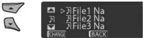 File1 Na File2 Na File3 Na CHANGE BACK