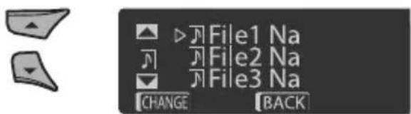 File1 Na File2 Na File3 Na CHANGE BACK