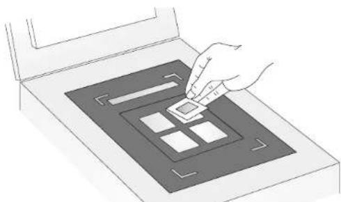 Line drawing of a hand inserting a small object into a device inside a tray (no text or symbols).
