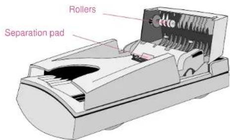 Rollers Separation pad