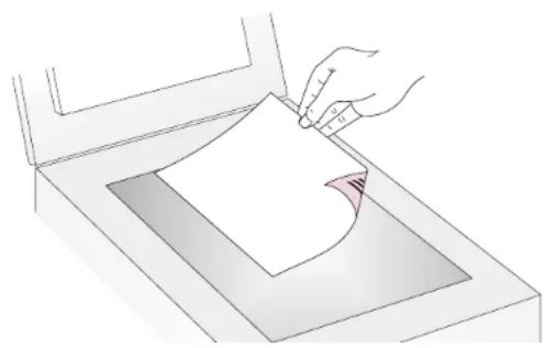 Illustration of a hand pressing down on a sheet of paper into a container (no text or symbols).