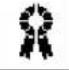 BROTHER P-Touch 9600 - Symbols p. 42 - 313