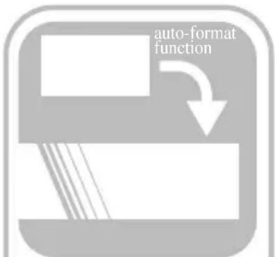 auto-format function