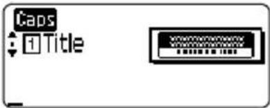 BROTHER P-Touch 2110 - EDITING A LABEL - 4