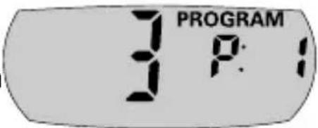 PROGRAM 3 P:1