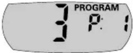 PROGRAM 3 P:1