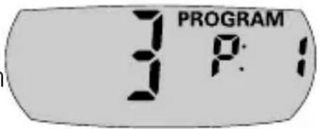 PROGRAM 3 P:1
