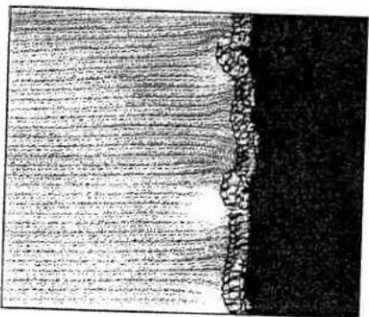 Scanned text of contract clauses with dense vertical lines and a vertical crack on the right side