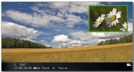 LOEWE Connect 40 3D - Select the PIP picture - 1