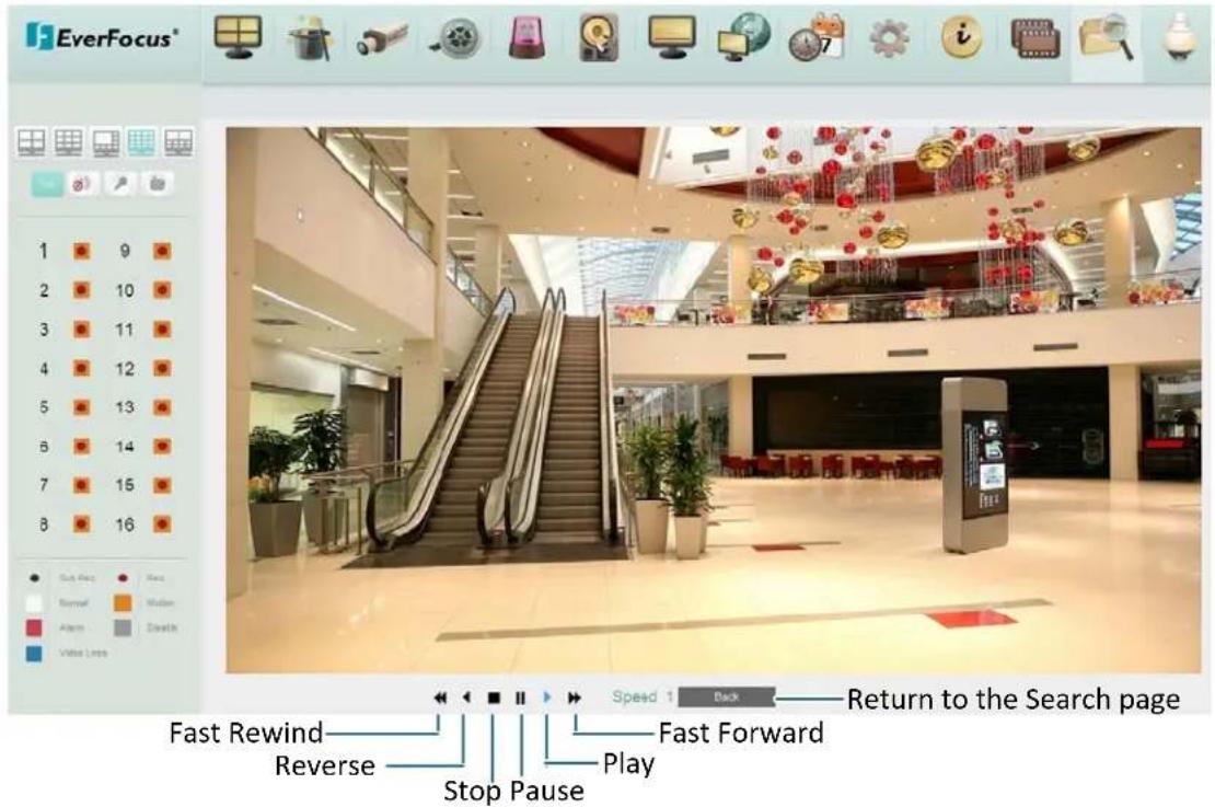 EverFocus® 1 9 2 10 3 11 4 12 5 13 6 14 7 15 8 16 Cut Back Remove Alarm Make Create Video Lines Fast Rewind Reverse Stop Pause Speed 1 Back Return to the Search page Fast Forward Play