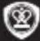PRESTIGIO Roadrunner 550 - Precauzioni di sicurezza - 3