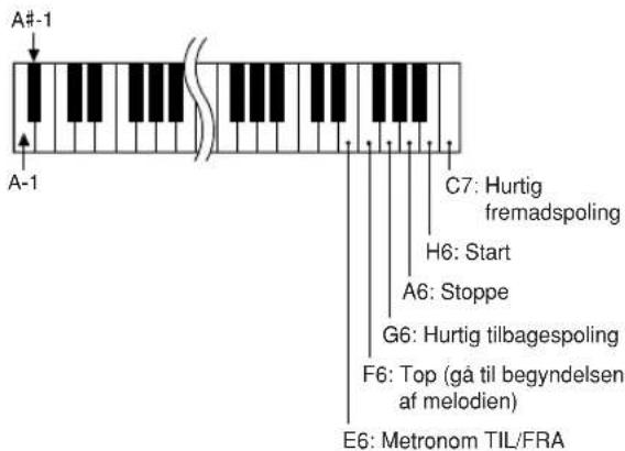 YAMAHA YPG-635 - ■Tangenter til fjernkontrol ..... - 1
