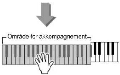 YAMAHA YPG-635 - Spil af stilarter med akkorder men uden rytme (Stop-akcompagnement) - 2