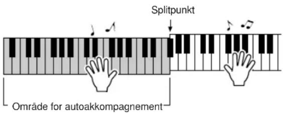 YAMAHA YPG-635 - Spil forskellige akkorder med venstre hånd, mens du spiller en melodilinje med højre hånd. - 1