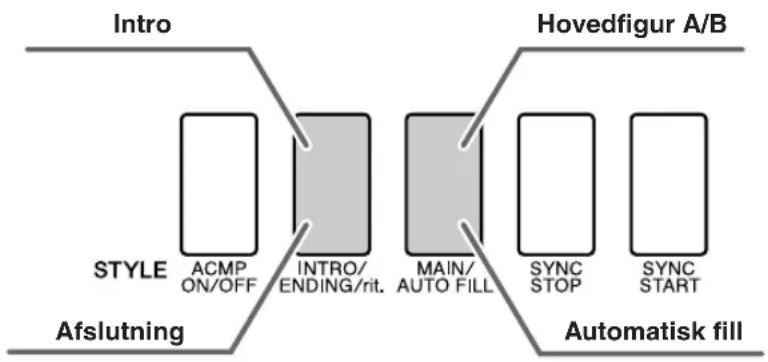 YAMAHA YPG-635 - Akkompagnementsvariationer (stykker) - 1