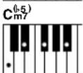YAMAHA YPG-635 - ■Almindelige akkorder .... - 21