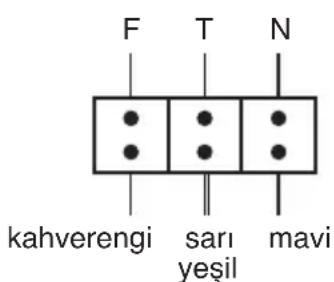 F T N kahverengi sarı yeşil mavi