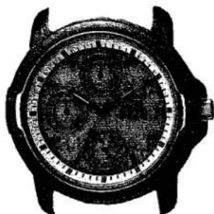 CITIZEN CAL 8627 - TECHNICAL INFORMATION INFORMACION TECNICA - 1