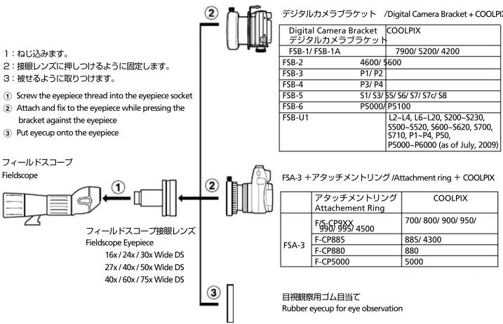 1: ねじ込みます。 2: 接眼レンズに押しつけるように固定します。 3: 被せるように取りつけます。 ① Screw the eyepiece thread into the eyepiece socket ② Attach and fix to the eyepiece while pressing the bracket against the eyepiece ③ Put eyecup onto the eyepiece フィールドスコープ Fieldscope ① フィールドスコープ接眼レンズ Fieldscope Eyepiece 16x / 24x / 30x Wide DS 27x / 40x / 50x Wide DS 40x / 60x / 75x Wide DS ② デジタルカメラブラケット /Digital Camera Bracket + COOLPIX Digital Camera Bracket COOLPIX デジタルカメラブラケット FSB-1/ FSB-1A 7900/ 5200/ 4200 FSB-2 4600/ 5600 FSB-3 P1/ P2 FSB-4 P3/ P4 FSB-5 S1/ S3/ S5/ S6/ S7/ S7c/ S8 FSB-6 P5000/ P5100 FSB-U1 L2-L4, L6-L20, S200-S230, S500-S520, S600-S620, S700, S710, P1-P4, P50, P5000-P6000 (as of July, 2009) FSA-3 + アタッチメントリング /Attachment ring + COOLPIX アタッチメントリング COOLPIX Attachment Ring FSA-3 F/S-CP9XX 700/ 800/ 900/ 950/ 990/ 995/ 4500 F-CP885 885/ 4300 F-CP880 880 F-CP5000 5000 目視観察用ゴム目当て Rubber eyecup for eye observation