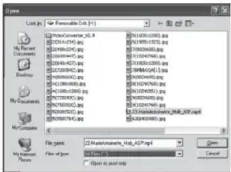Open Lock path Flammable Disk (H(+)) My Recent Documents Desktop My Documents My Computer File name: 22.MasterCYtoselte_Hab_ASP.mpl Files of type: Open Cancel Open to read only