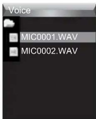 Voice MIC0001.WAV MIC0002.WAV