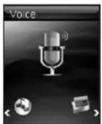 Voice