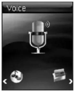 Voice