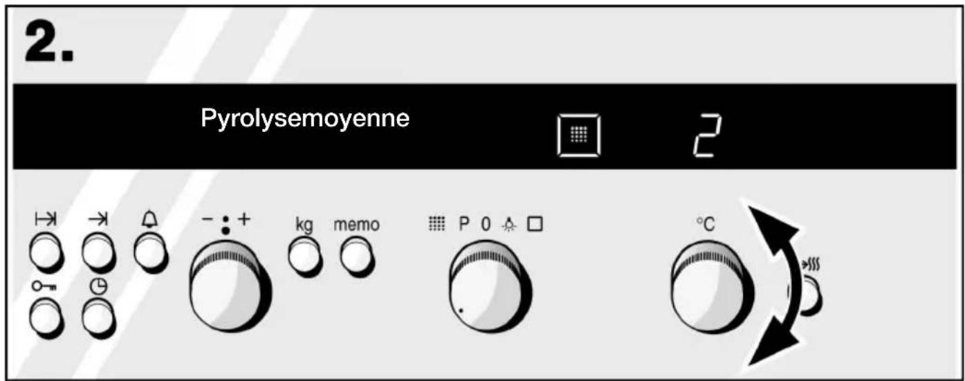 2. Pyrolysemoyenne kg memo P 0 °C