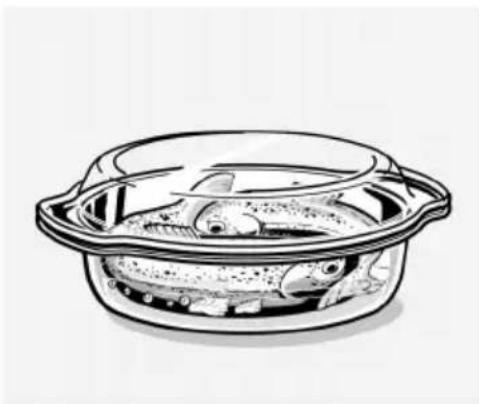 NEFF HB66E55 - Poisson - 1