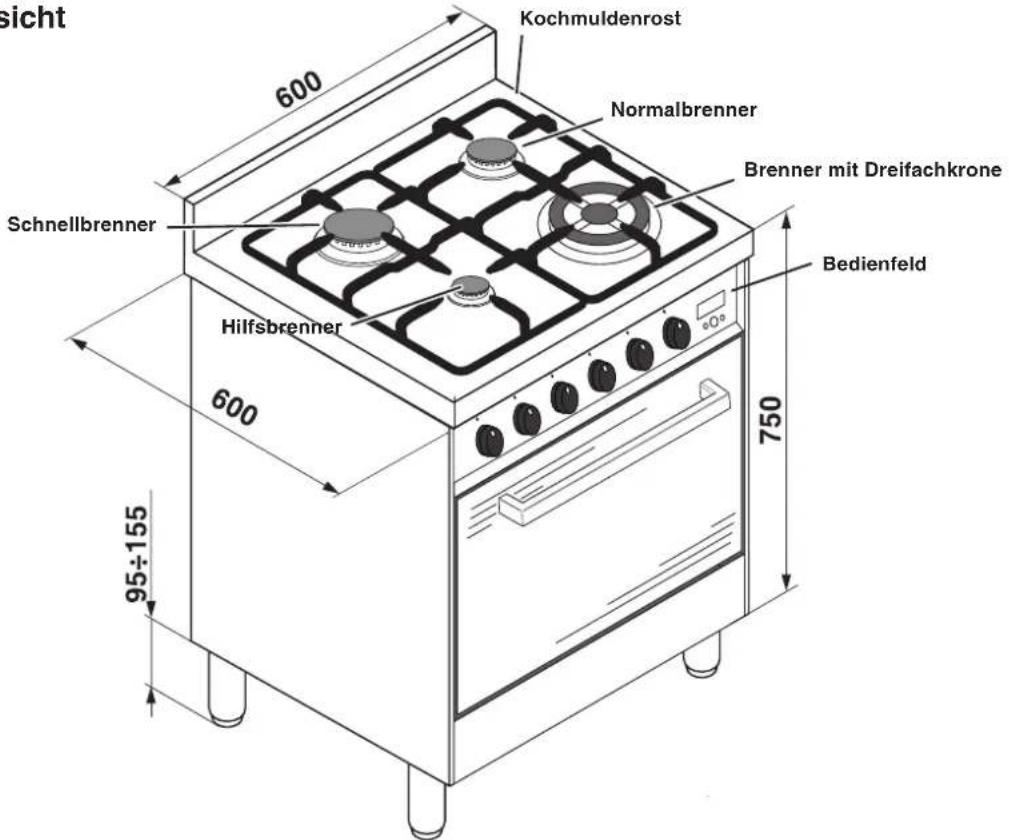 sicht Kochmuldenrost Normalbrenner Brenner mit Dreifachkrone Schnellbrenner Hilfsbrenner Bedienfeld 600 750 600 95÷155