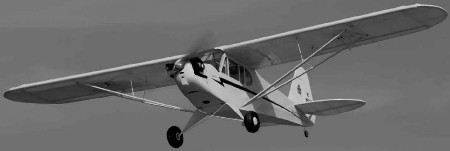 E-flite J-3 Cub 450 - J-3 Cub 450 - 1