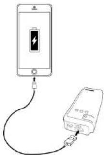 PHILIPS DLP5205U - Charging Your Device - 1