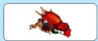 LEGO Battle for Ninjago City - NINJAGO Masters of Spinjitzu - 202