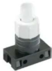 Bachmann 916.0039 - Series 3746 pull switch 2A/250V\~, T 125°C - 1