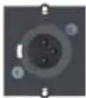 Bachmann 916.0039 - Custom module 1 x XLR socket 5-pole Black - 1