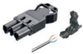 Bachmann 916.0039 - wieland - 1