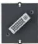 Bachmann 916.0039 - Custom module 1 x DVI-I + miniature jack Black - 1