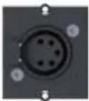 Bachmann 916.0039 - Custom module 1 x XLR socket 4-pole Black - 1