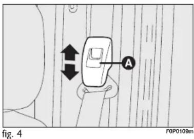 Fig. 4 A F0P0109m