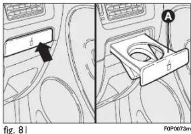 Fig. 81 F0P0073m