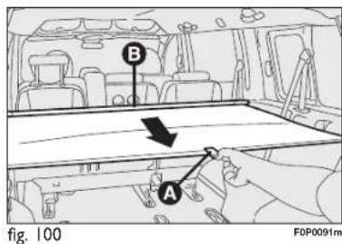 B A fig. 100 F0P0091m