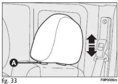 A Fig. 33 F0P0026m
