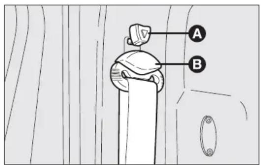 A B