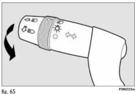 fig. 65 F0N0033m