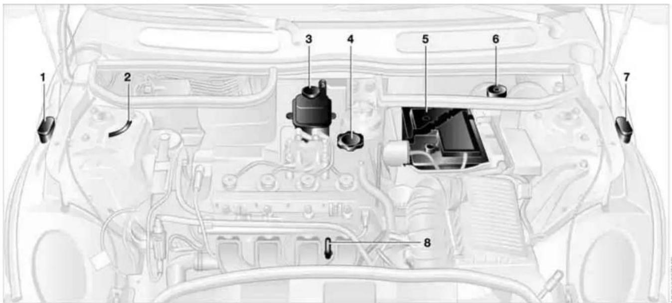 Labeled diagram of a car engine bay with numbered components for identification
