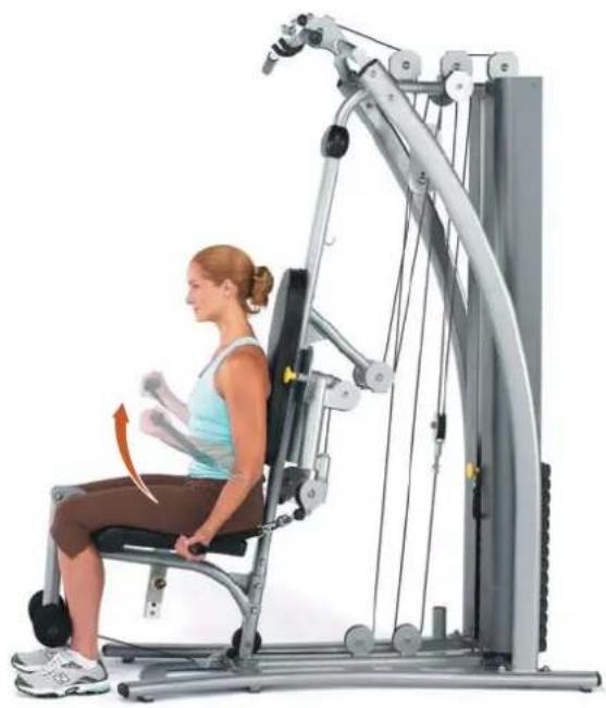 Horizon Fitness Torus 4 - Armbeuger, stehend - 2